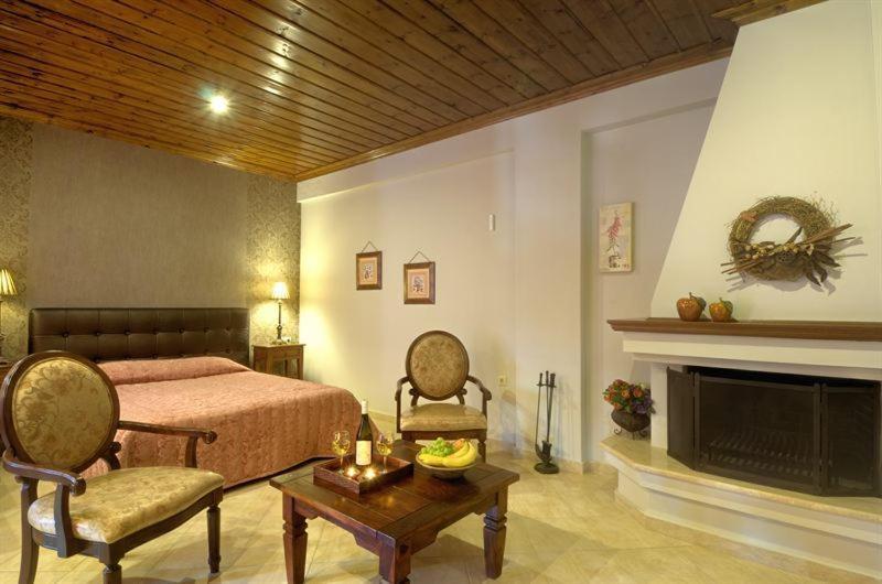 Iatrou Guesthouse Portaria  Ruang foto