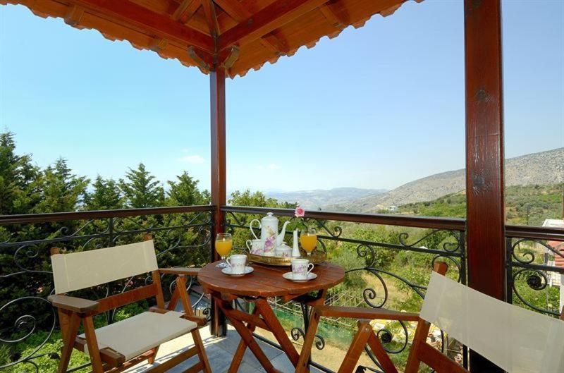 Iatrou Guesthouse Portaria  Ruang foto